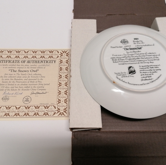 The Snowy Owl Collection Plate - Picture 3 of 6